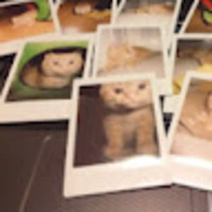 Meet your Posher, Agnes